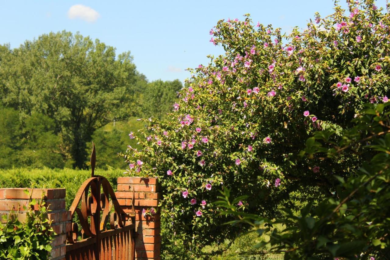Il Casolare Bed & Breakfast Penna Exterior photo