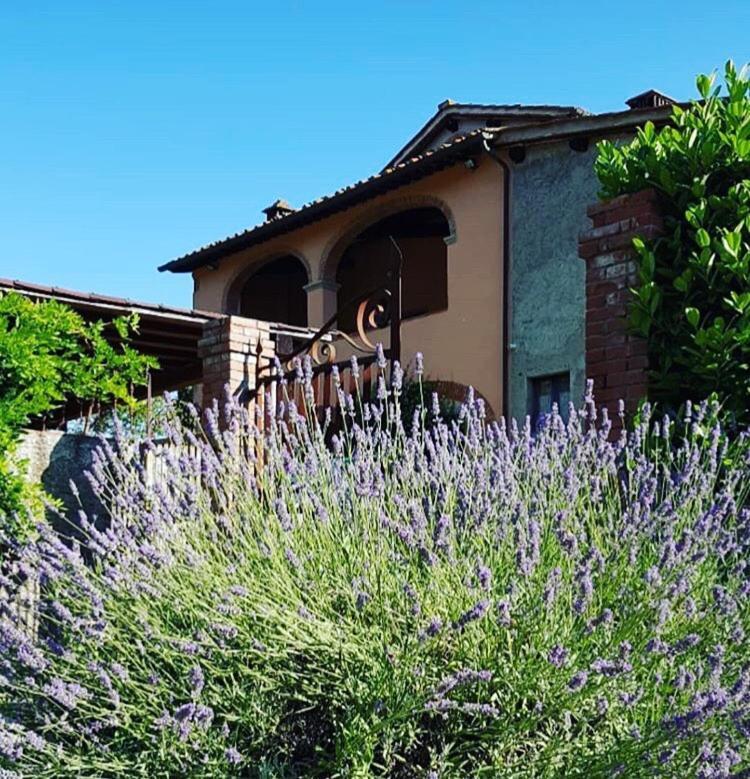 Il Casolare Bed & Breakfast Penna Exterior photo